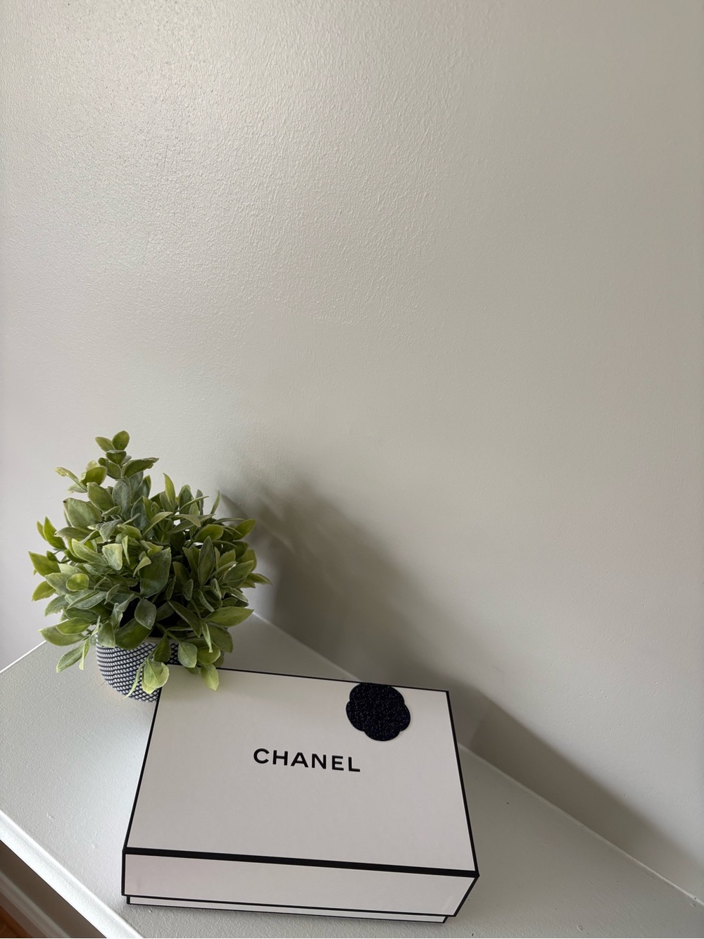 CHANEL White Box with Black Accent